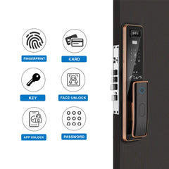 Digital Face Door Lock LK-311
