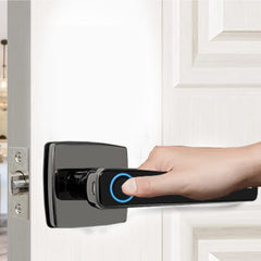 Smart Door Lock LK-101 with Fingerprint